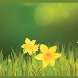 Spring