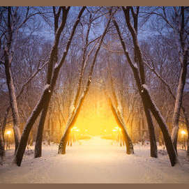 Winter