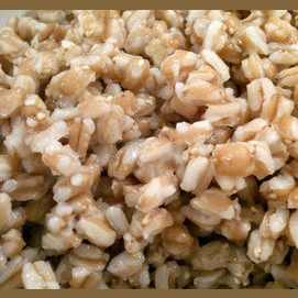 Farro
