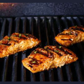 Salmon