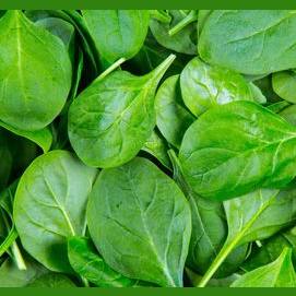 Spinach