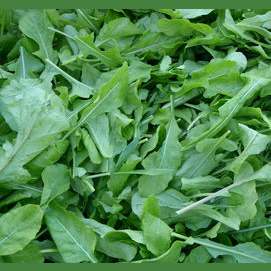 Arugula