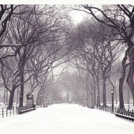 Cold as the winter air