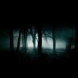 Dark