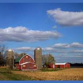 A farm