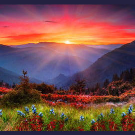 A valley