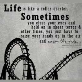 Life is a Rollercoaster