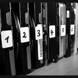 Organised, Categorized Files of Life
