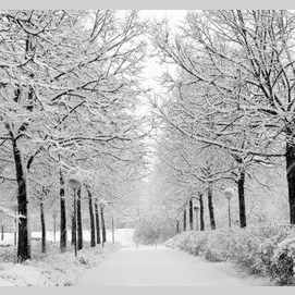 Cold