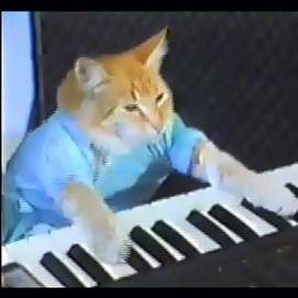 Keyboard Cat