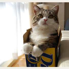 Maru