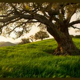 Land.