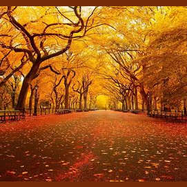 Fall