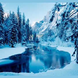Winter