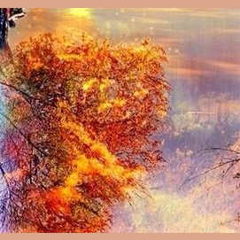Fall