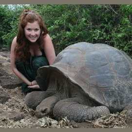 A Giant Tortoise