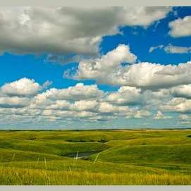 In the prairie 