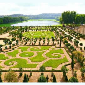 The Grounds