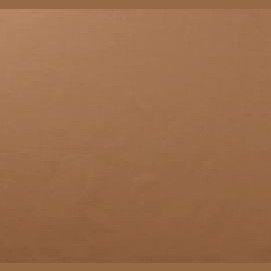 The Maze Runner: Extreme Trivia