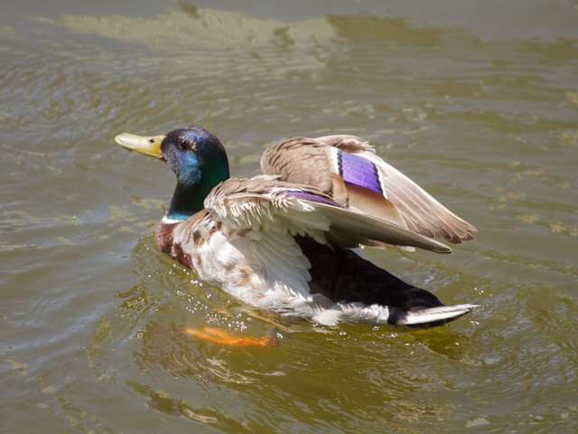 Rückseite