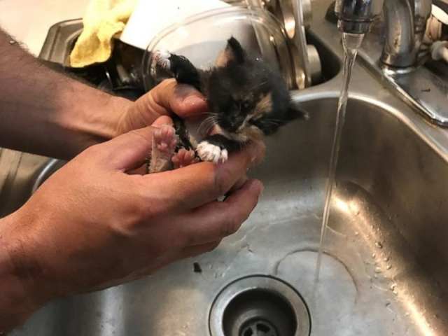 A lot of our guys adopt them. Cats and dogs. One guy even has a parrot. It’s pretty funny. My poor mother’s taken in more cats than I know. We always try to find a home for them.