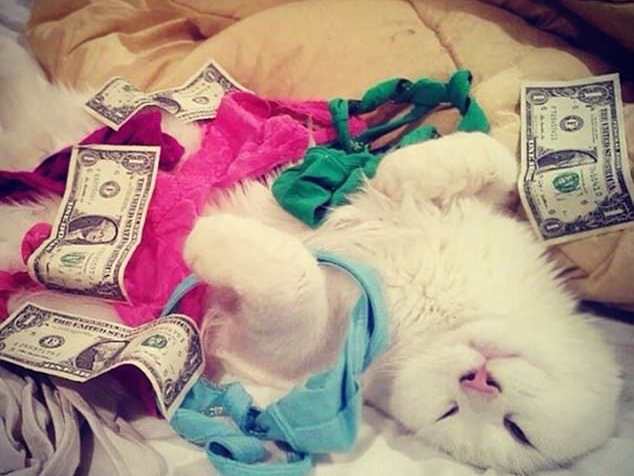 What do you think of these hilarious petsitting pranks? Which was your favorite? Talk to us about them in the comments below, and share with your friends to see what they think!