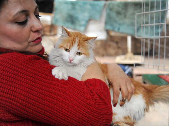 The fact that Baris will live in a publishing house whose name is ‘Red Cat’ is the right ending for his own story. Baris came to Kirmizi Kedi and I hope peace will also come to Syria and Middle East.