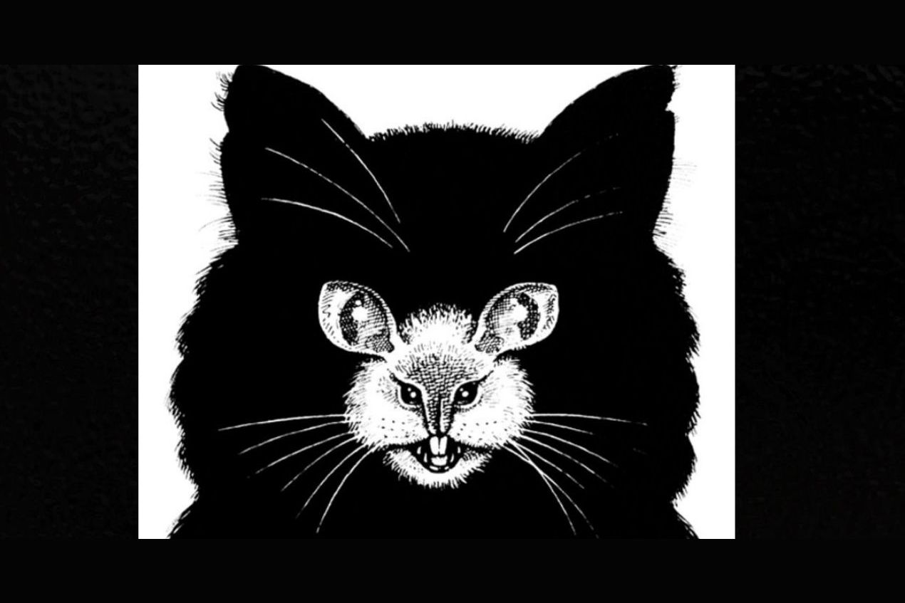 Do You See A Black Cat or A Mouse?