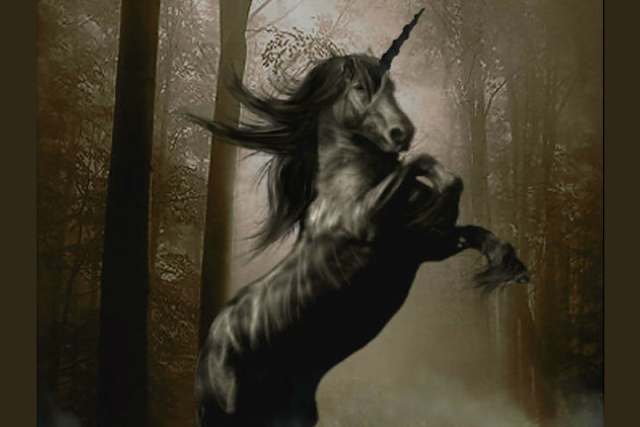 Thezombieunicorn