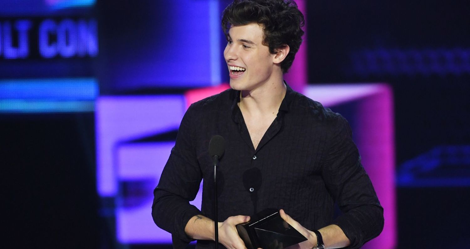 Are You More Like Shawn Mendes Or Niall Horan