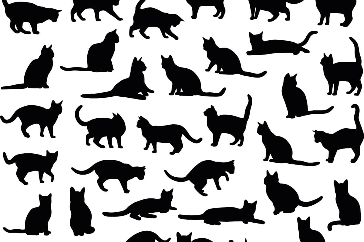 Boy Warrior Cat Names Great white mountain apache leader. playbuzz