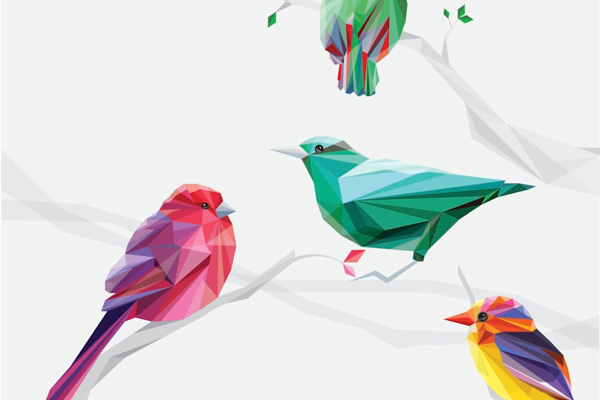 dope-bird-test for Disc Bird Personality Test Free Printable DOPE Bird Test for Disc Bird Personality Test Free Printable