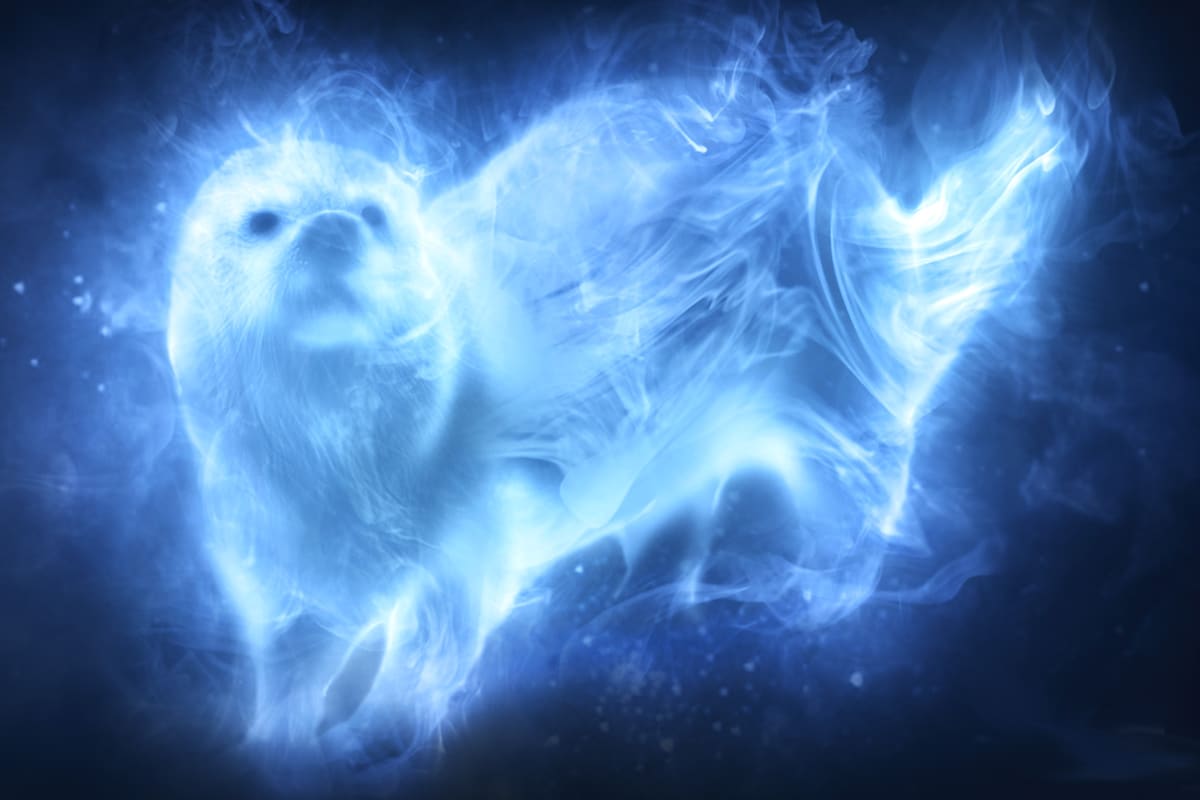 Match The Harry Potter Character To Their Rightful Patronus In the harry potter universe, a patronus charm is considered highly advanced magic, and it takes great concentration and skill. match the harry potter character to