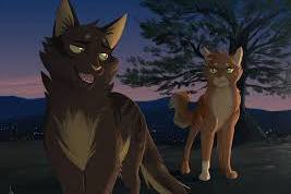 What Warrior Cat Are You