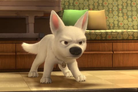 Ces Animations Qui Ont Du Chien