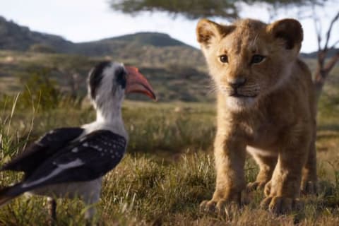 Which Lion King Character Are You