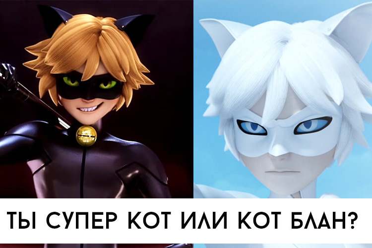Тест: Ты Супер Кот Или Кот Блан? - Youloveit.ru