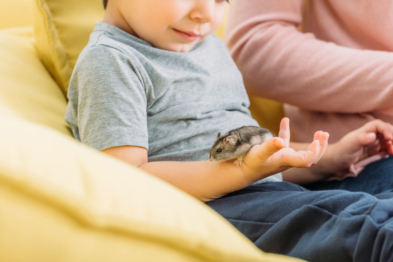 עולמם הסודי של האוגרים 🐹 | כאן חינוכית