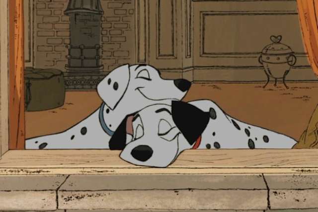 Quiz Journée Mondiale Du Chien Connaissez Vous Bien Ces