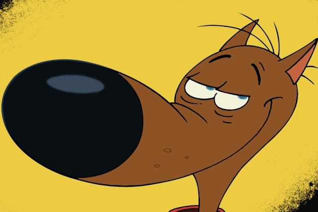 Quiz Journée Mondiale Du Chien Connaissez Vous Bien Ces