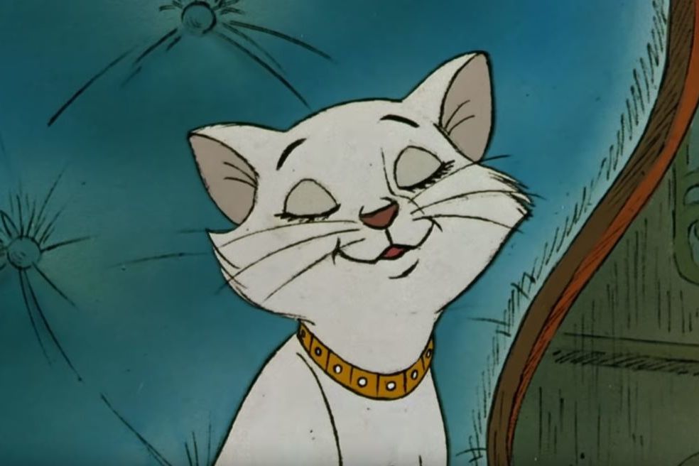 Connaissez Vous Ces Chats Celebres