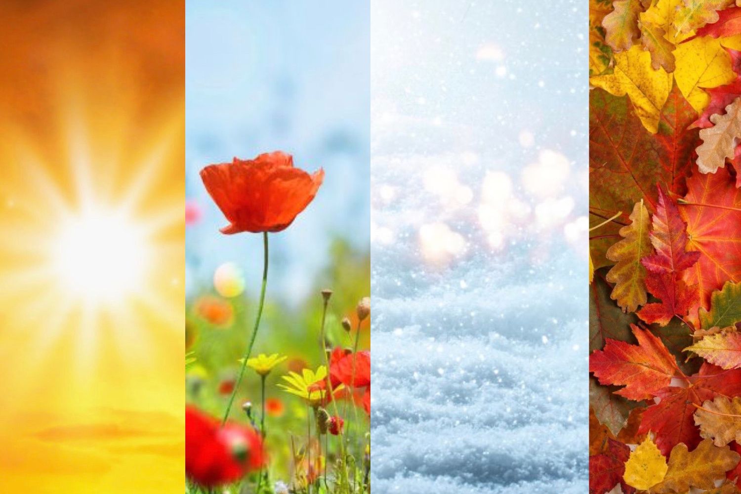 What Your Favorite Season Says About Your Personality