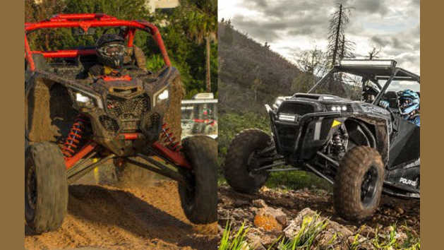 New Quizzes - Playbuzz