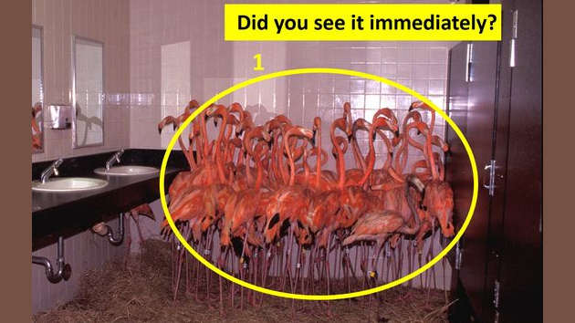 New Quizzes - Playbuzz