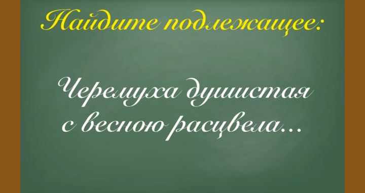 Тест: Тест: Сдадите ли вы ЕГЭ по русскому языку?