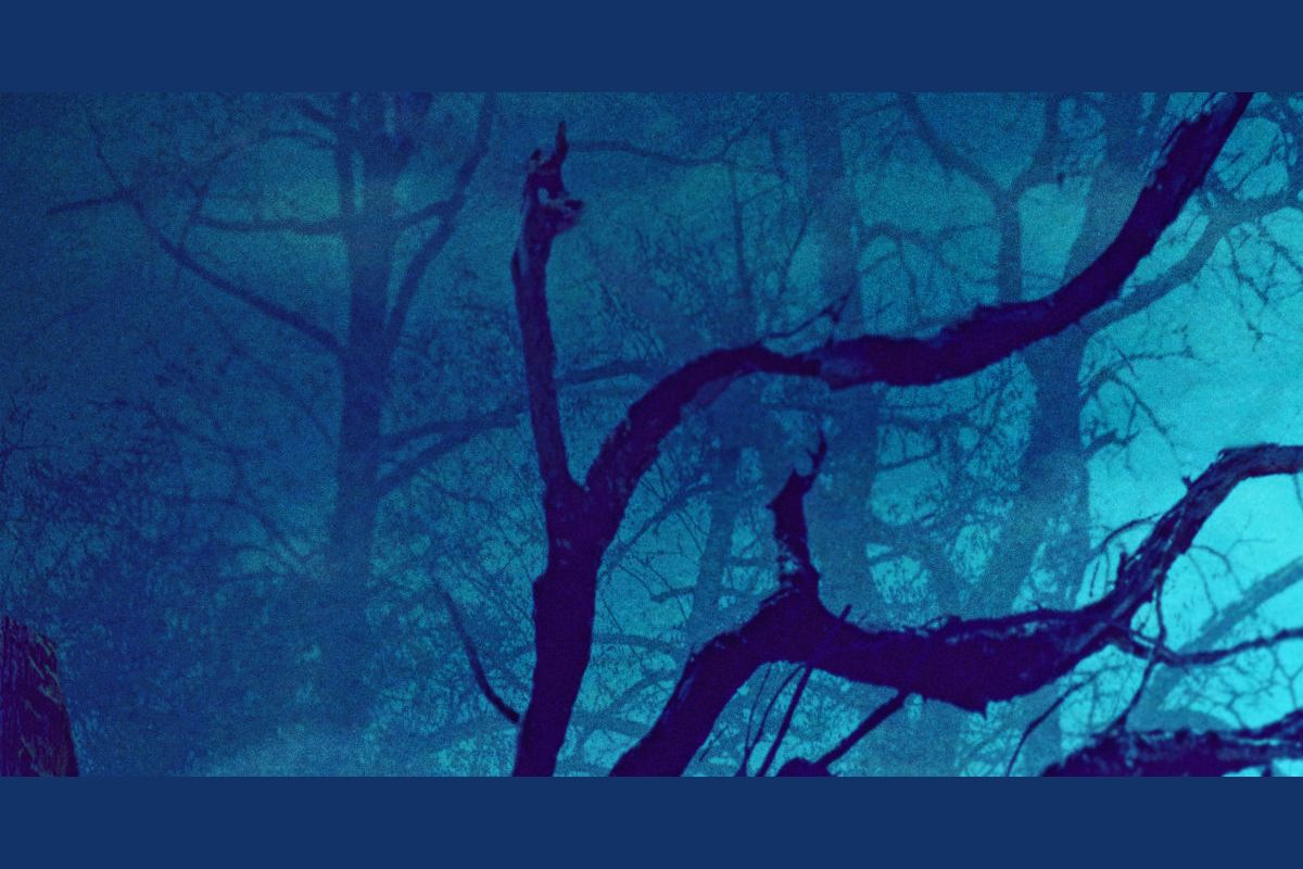 How Much Do You Really Know About Halloween?
