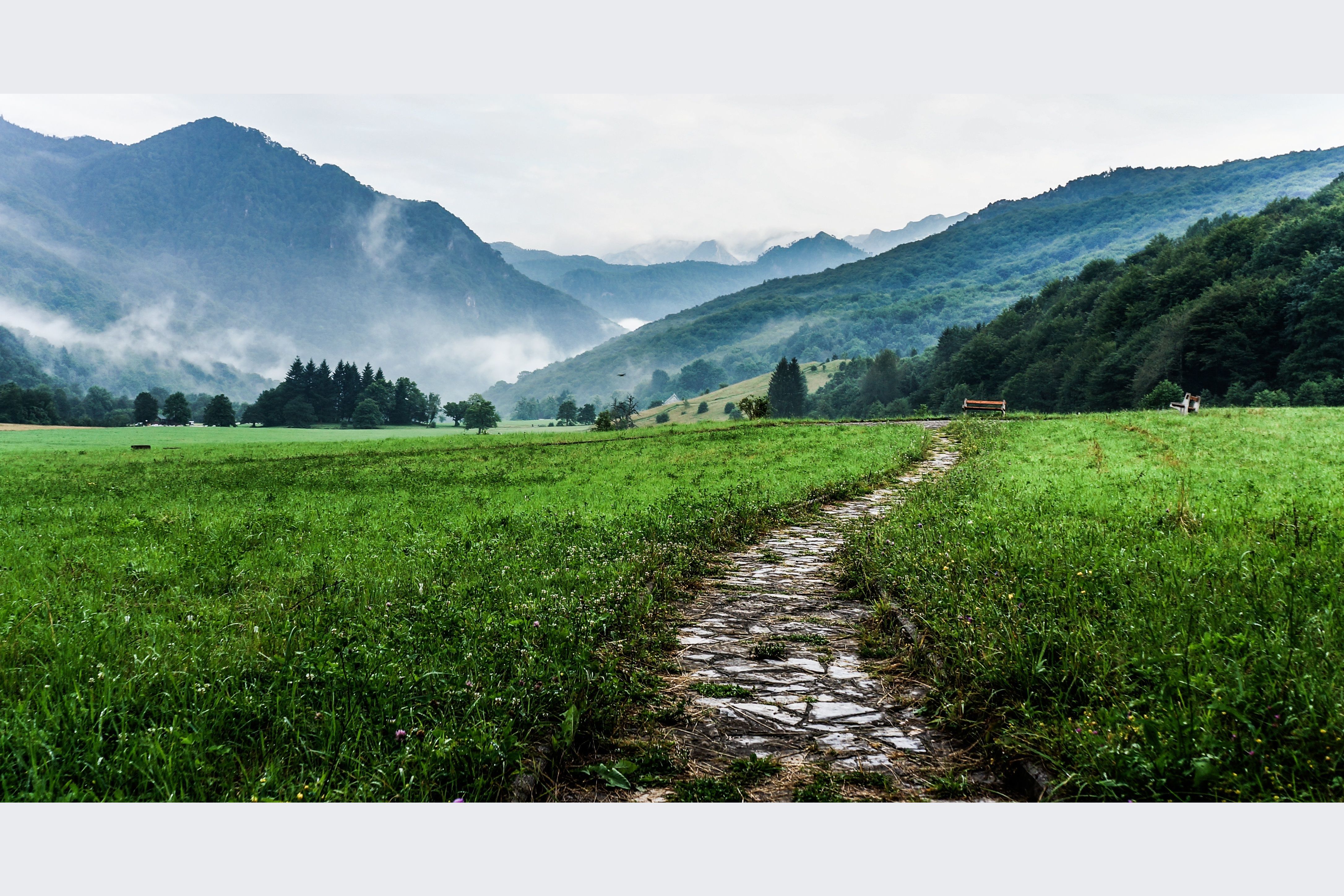 Горе трава. Красивый пейзаж. Горы трава. Фотообои тропинка в горах. Поле с травой и горами.