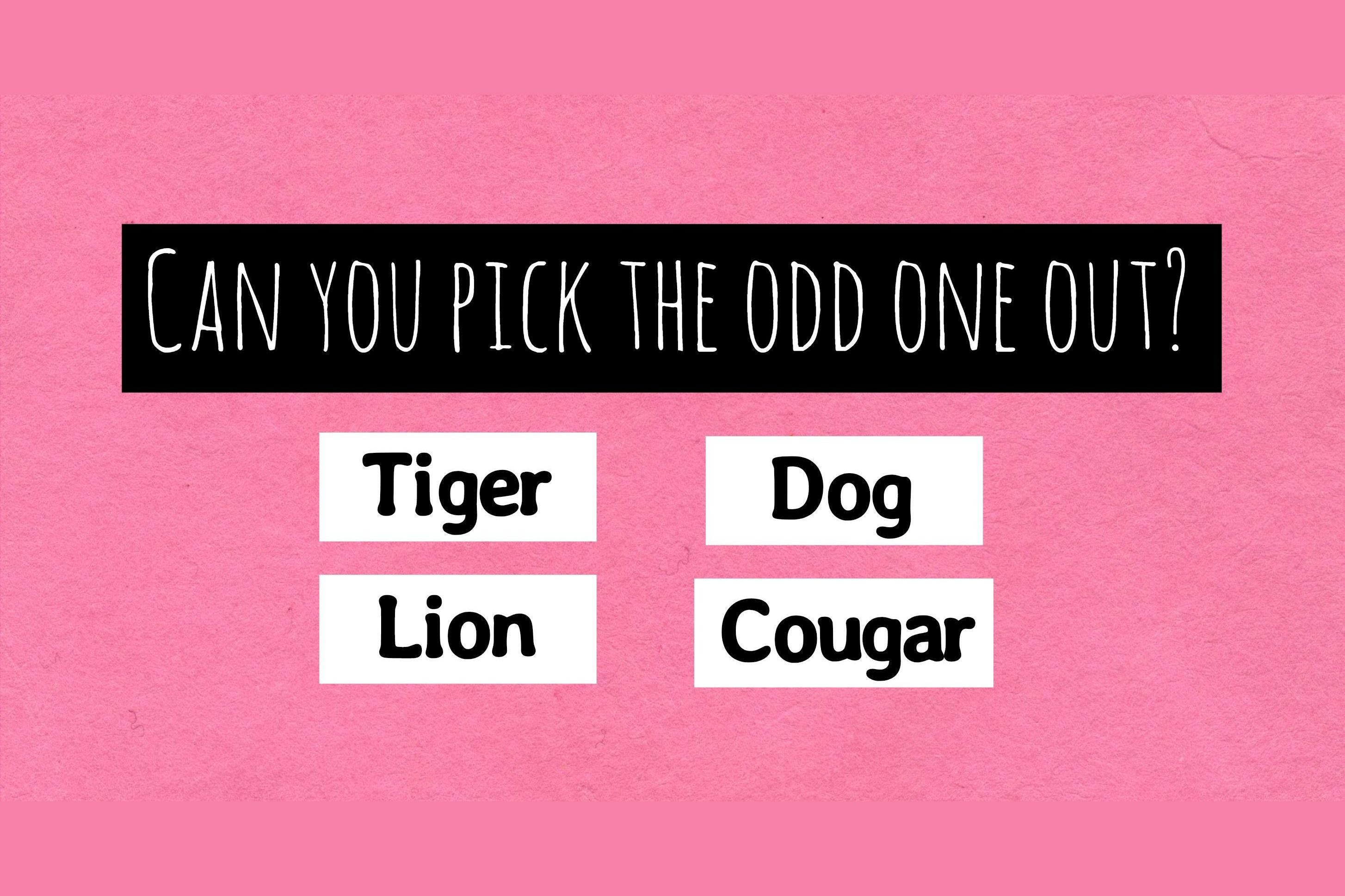 can-you-pass-a-10-question-iq-test-that-most-american-high-school