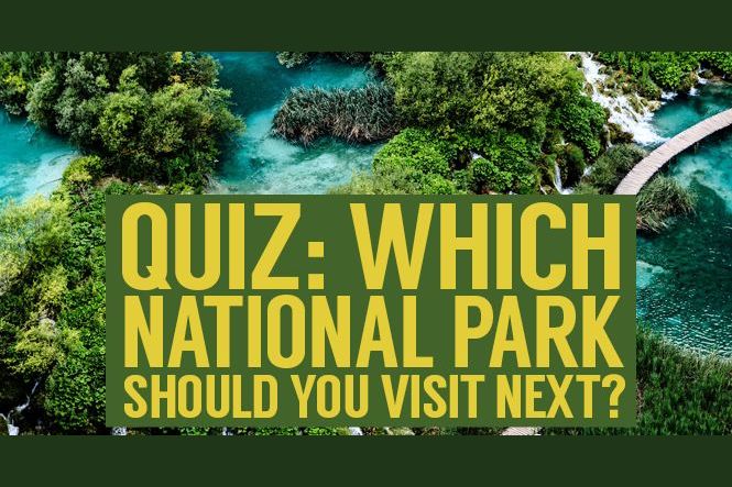 Which National Park Should You Visit Next?