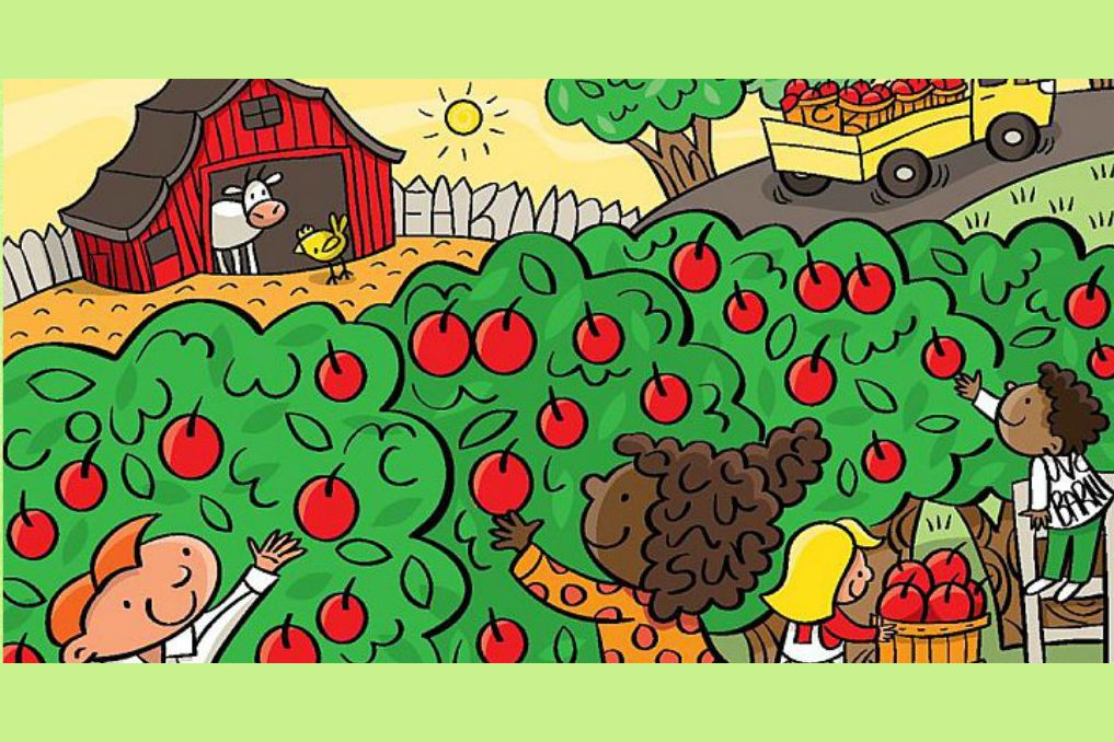 can-you-find-the-6-hidden-words-in-this-apple-orchard